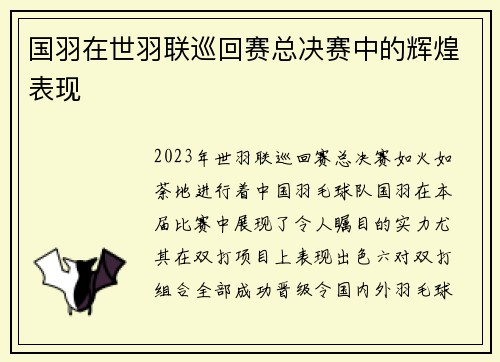 国羽在世羽联巡回赛总决赛中的辉煌表现