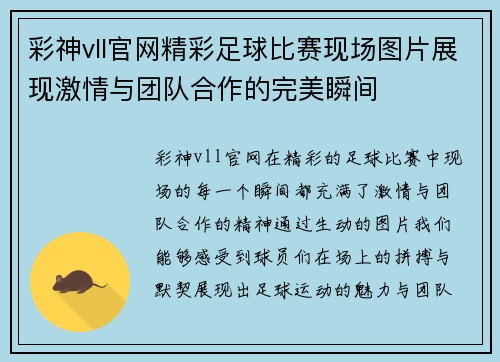 彩神vll官网精彩足球比赛现场图片展现激情与团队合作的完美瞬间